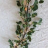 Electric Lighted Eucalyptus Garland 48 Warm White LED's - 6 Feet