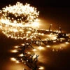 19.6 Foot Christmas Cluster Lights With 600 Warm White LED Garland - Green Wire - Remote Control RAZ