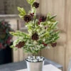 22 Inch Holiday Tree In Silver Bucket With Berries Snow And Pine Cones
