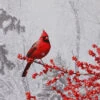 Raz 24 Inch Twinkling LED Lighted Cardinal Scene Print On Canvas