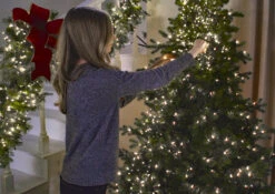 44 Foot Christmas Cluster Lights With 1300 Warm White LED Garland - Green Wire - Remote Control RAZ 7 44 Foot Christmas Cluster Lights With 1300 Warm White LED Garland - Green Wire - Remote Control RAZ -Christmas Decoration Discount decorating with cluster lights 2