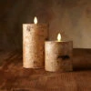 Luminara Embedded With Birch 4 X 7 Inch Flameless Pillar
