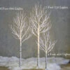 4 Foot Lighted Birch Tree - 400 Warm White Fairy Lights - From RAZ