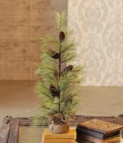 Long Needle Pine Tree With Cones - Table Top Tree - 2 Foot
