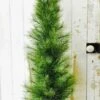 Long Needle Pine Twig Tree - Table Top Christmas Tree - 4 Foot