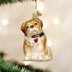 Old World Christmas Glass Ornament - Bull Pup