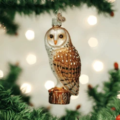 Old World Christmas Glass Ornament - Barn Owl