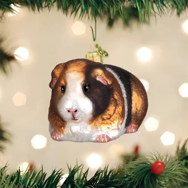 Old World Christmas Glass Ornament - Guinea Pig 1 Old World Christmas Glass Ornament - Guinea Pig