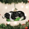 Old World Christmas Glass Ornament - Herding Border Collie