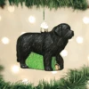Old World Christmas Glass Ornament - Newfoundland